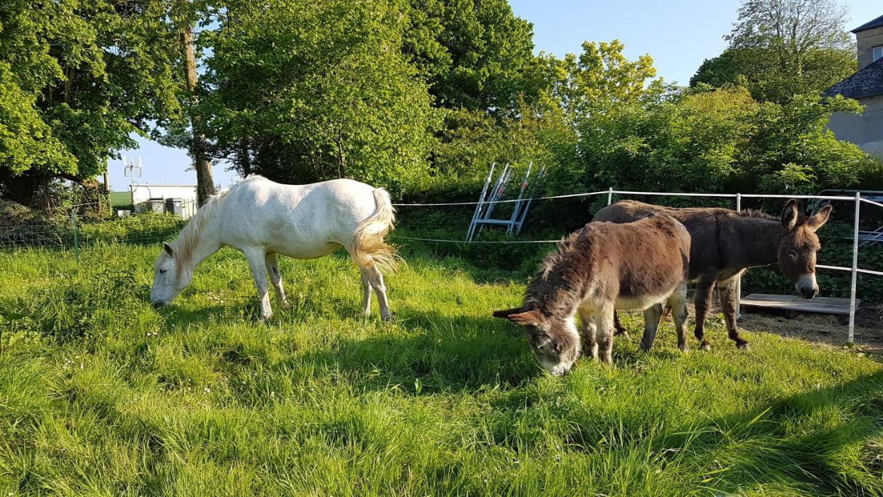 La Bergerie Du Mesnil Bed & Breakfast Livry  Luaran gambar